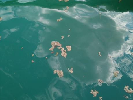 Romandie – Comment s’adapter aux impacts du climat sur les lacs et rivières ?