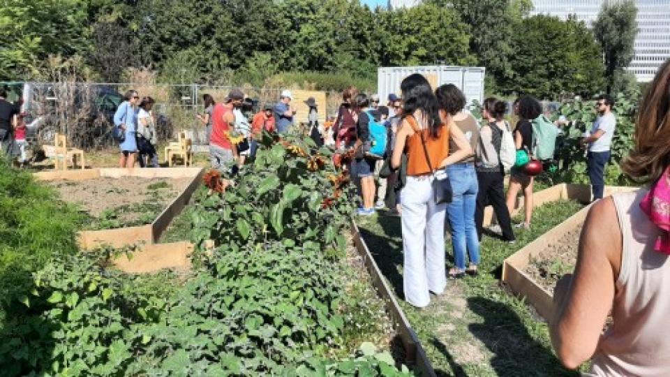Le potager des Nations