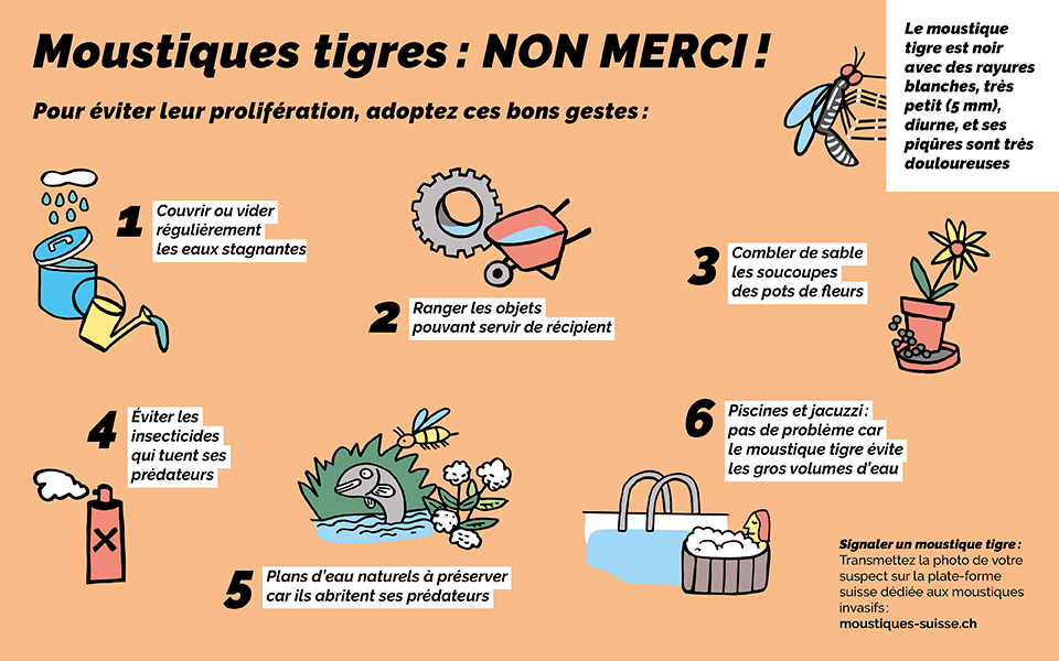 Moustiques tigres : NON MERCI !