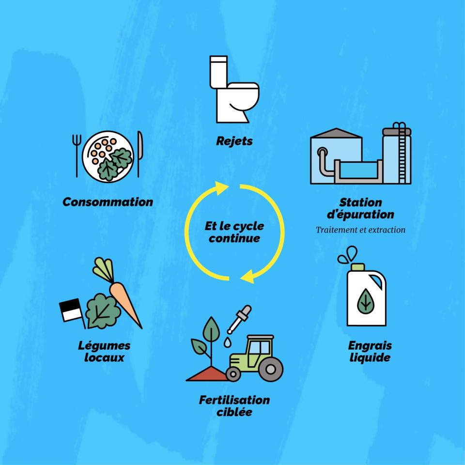 Un cercle vertueux: rejeter, traiter et créer un engrais naturel et local, fertiliser de manière ciblée, récolter, consommer … et recommencer. Un vrai cycle vertueux d’économie circulaire, et plus qu’une action : un engagement.