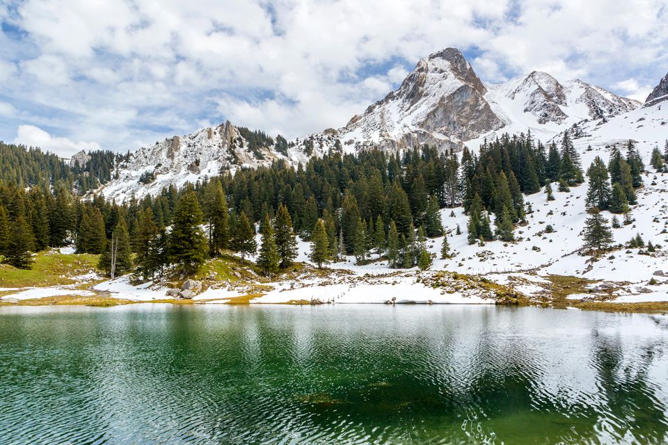 Petit lac du Gantrsich, Canton de Berne, 29 avril 2015 © Sebastian Wasek/Alamy Stock Photo