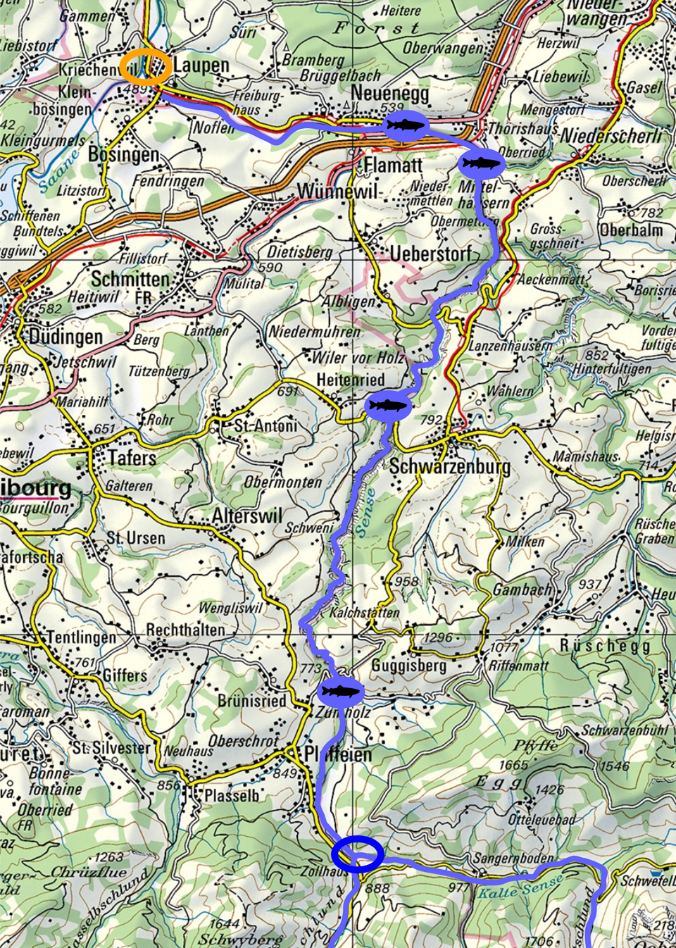 Carte du tracé de la Singine de Zollhaus (en bleu) jusqu’à l’embouchure de la Sarine (hors carte, en orange)