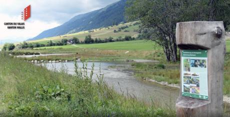 Valais – Revitalisation de la rivière Niderbach