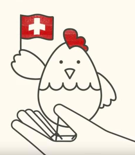 Fribourg – C.2.4 Du poulet moins cher ? Mais à quel prix ?